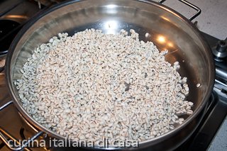orzo