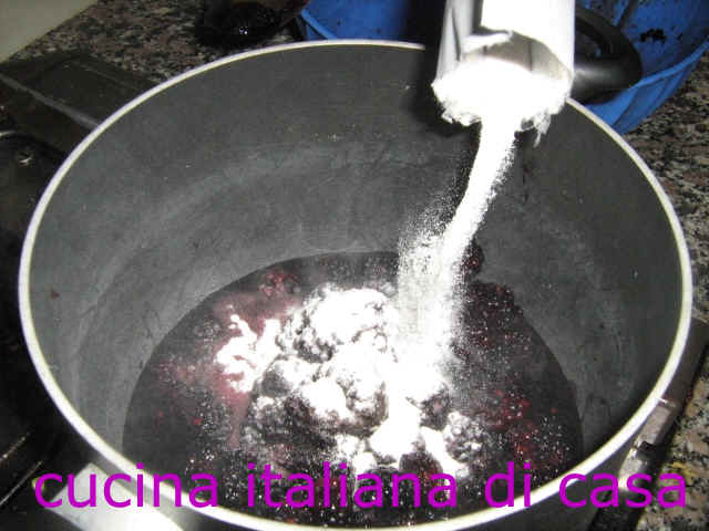 pectina