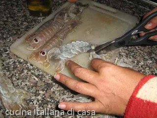 canocchie: la pulizia