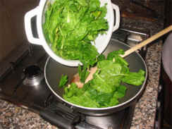 cuocere gli spinaci