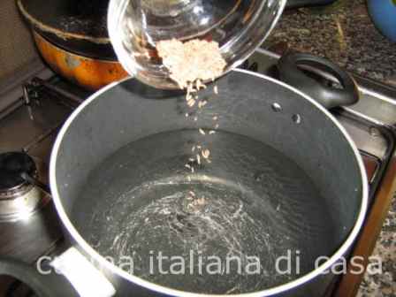 semi di cumino