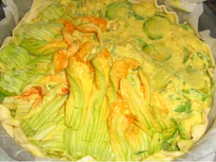 fiori di zucchin