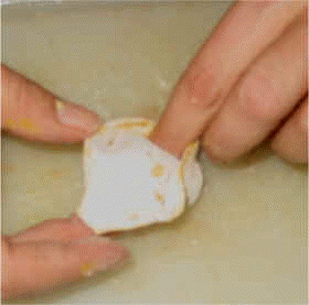 riempire i tortellini di prosciutto crudo